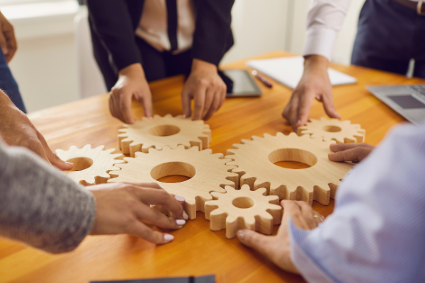 FOCUZ GULF GROUP Corporate Overview & Operations